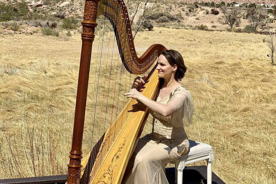 Modern Fairytale Wedding Harpist