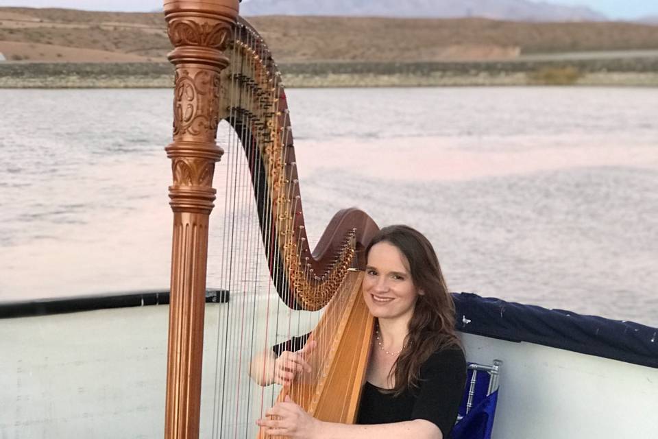 Modern Fairytale Wedding Harpist