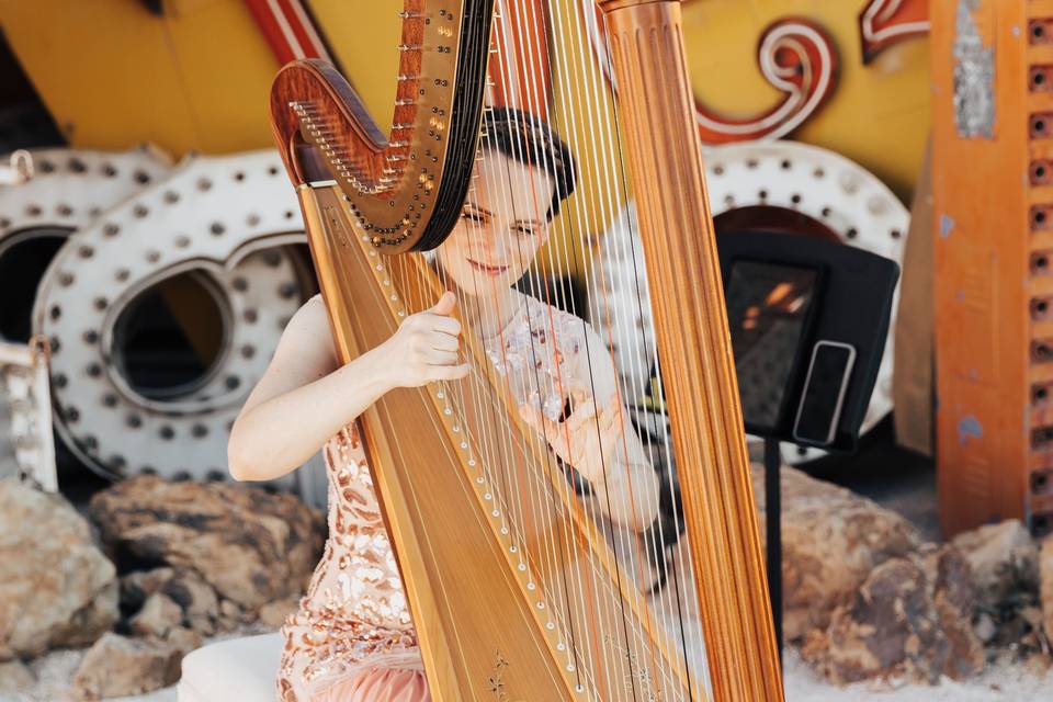 Modern Fairytale Wedding Harpist