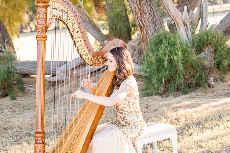 Modern Fairytale Wedding Harpist