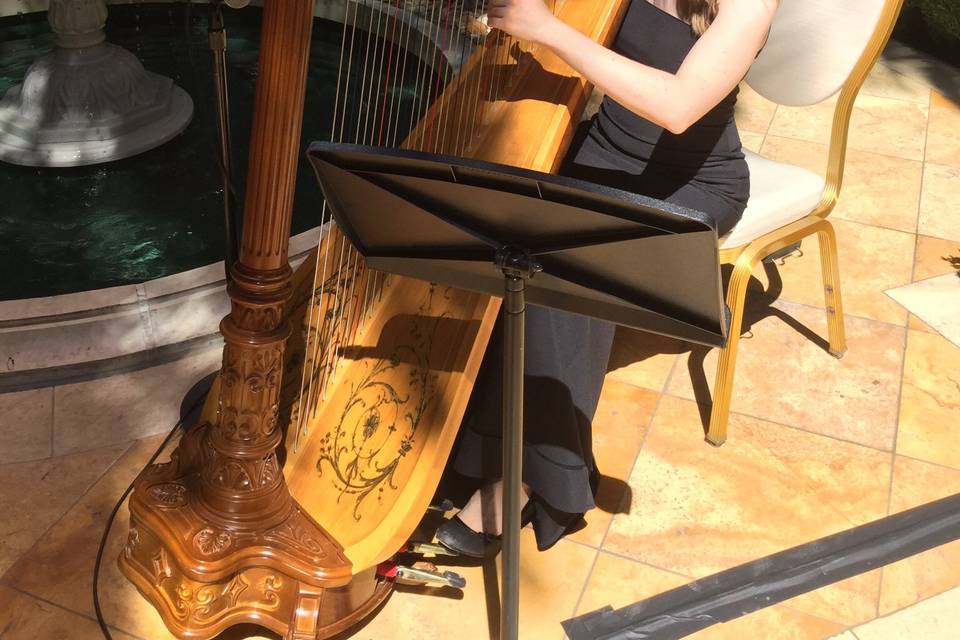 Modern Fairytale Wedding Harpist