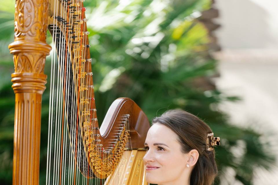 Modern Fairytale Wedding Harpist