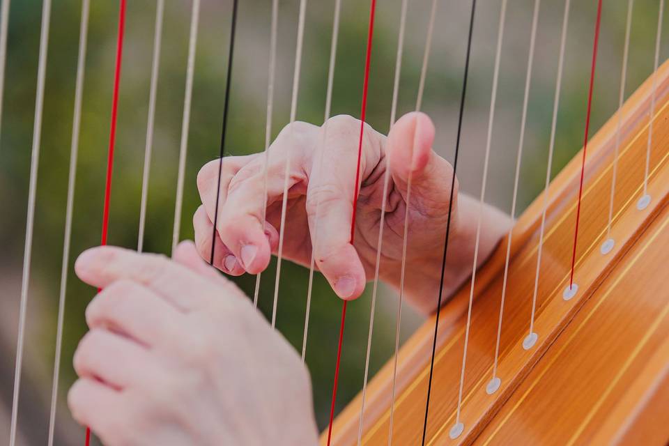 Harpist's hands detail