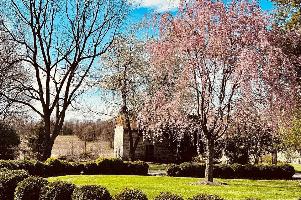 Grounds In Bloom