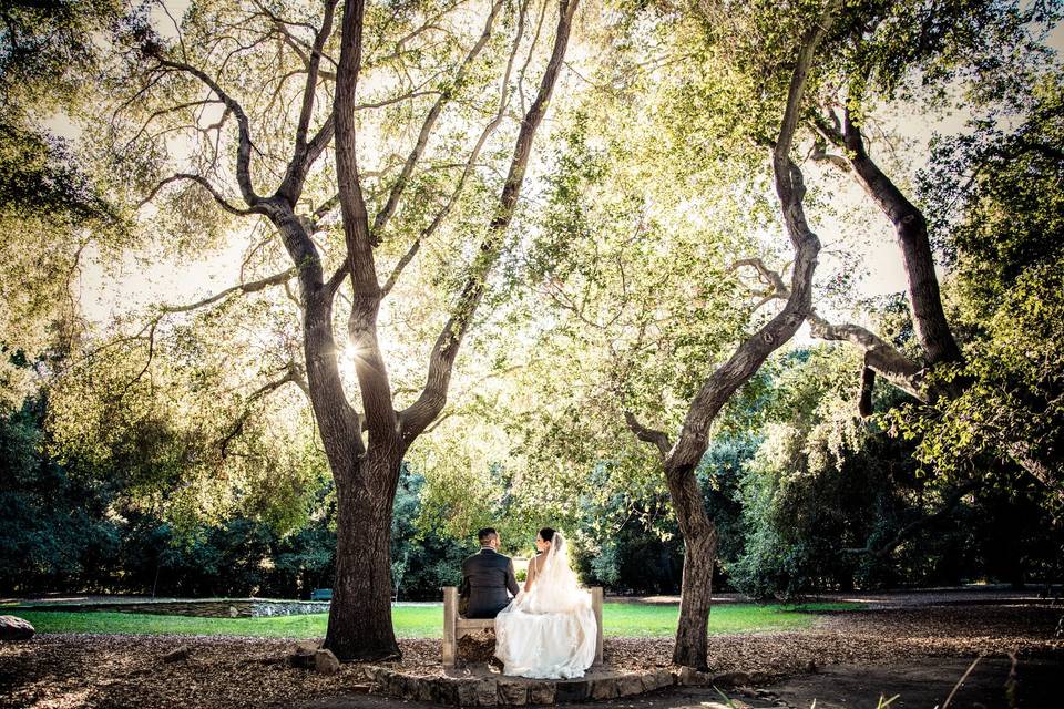 Couple in a park - Peardon Carrillo Photography