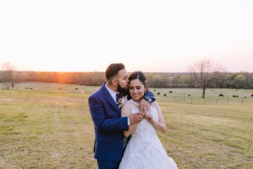 Engagement Picture in Pasture