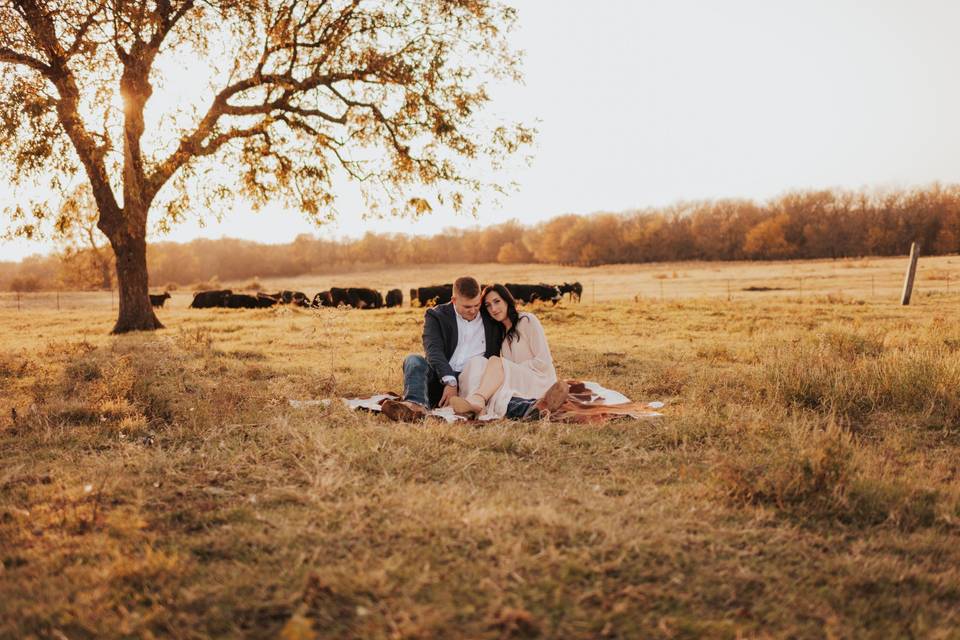 Engagement Picture in Pasture