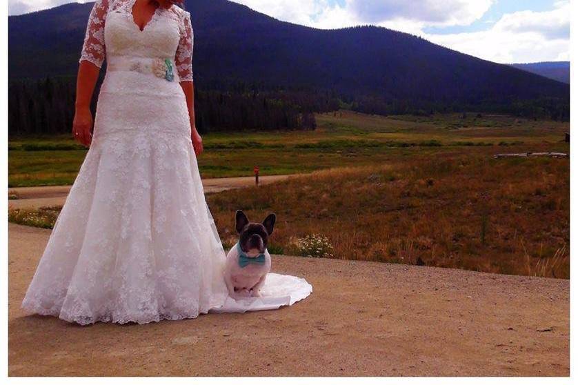 Bride her dog