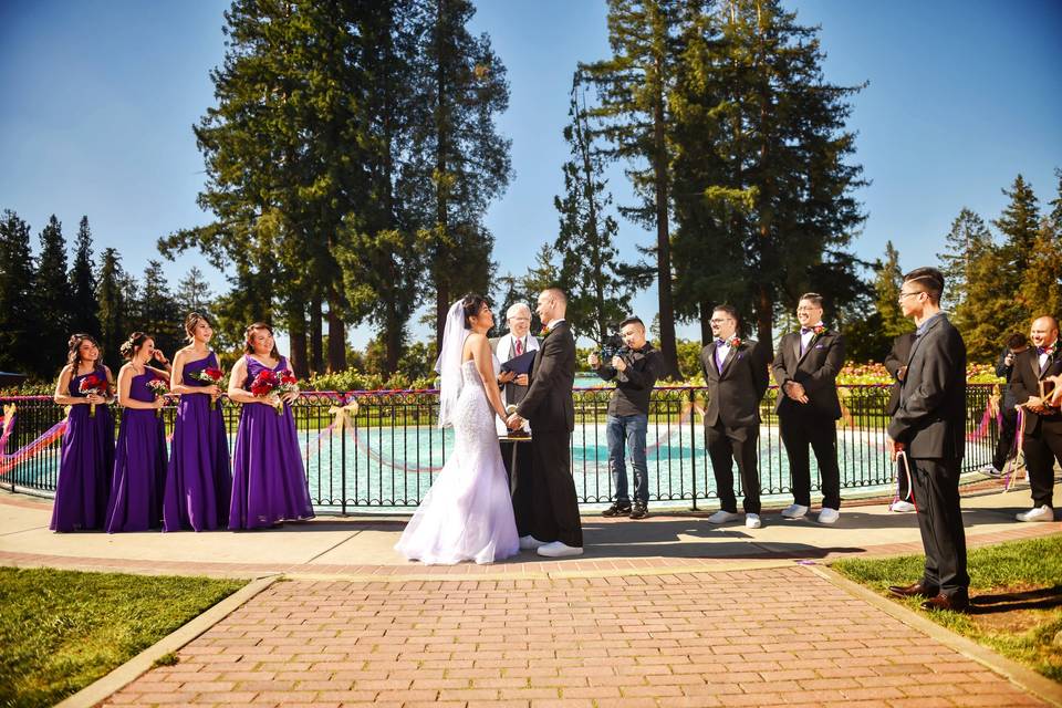Diane & Jeff's Tea Ceremony