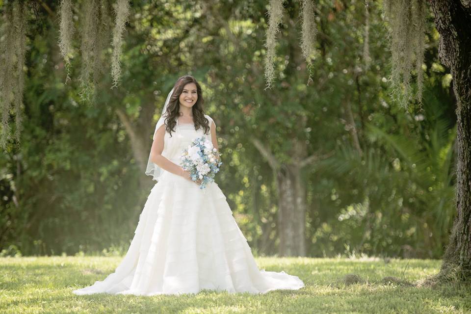 Beautiful Southern Bride
