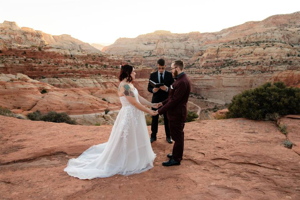 Capitol Reef National Forest