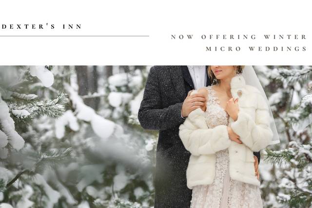 Winter Micro Weddings
