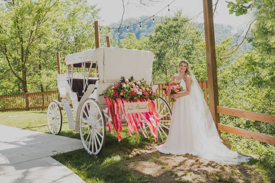 Bride and carriage