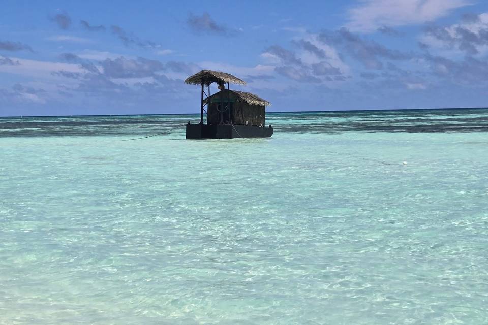 Lori's Travel Service