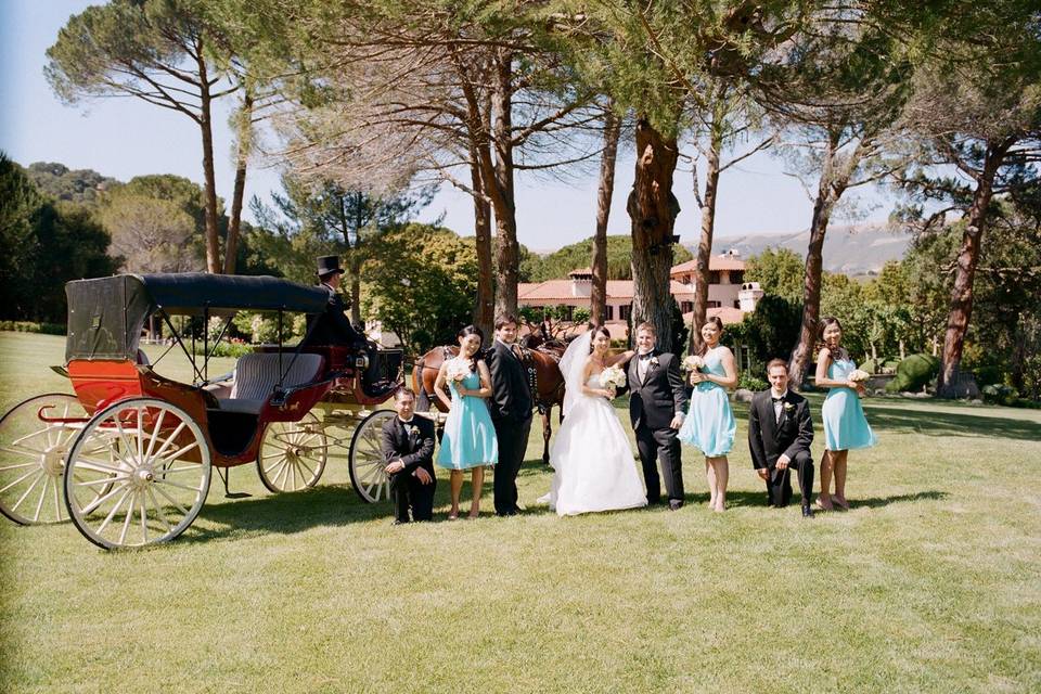 Bride, groom and the wedding party with their carriage and the Chateau in the background