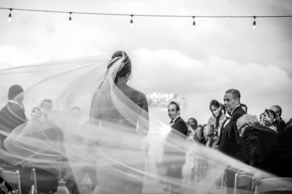 Suzanne delawar bride veil