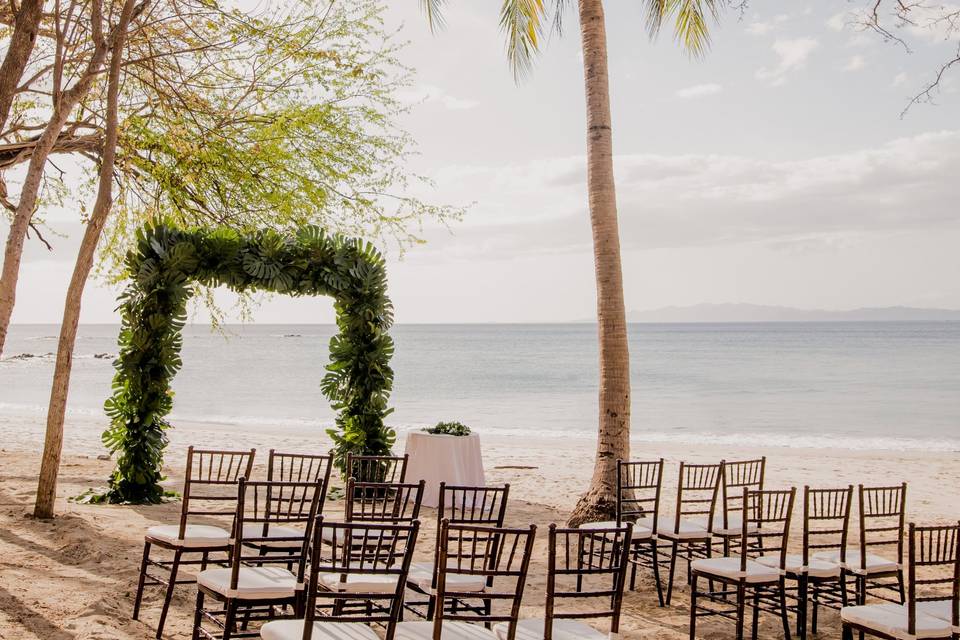 Ceremony beneath a palm tree