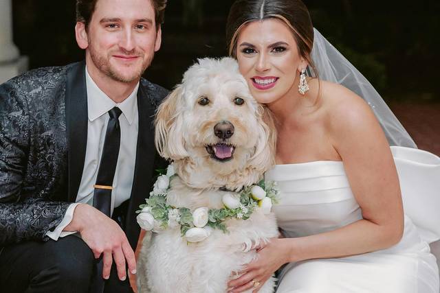 I Dog Too - Wedding Pet Attendant