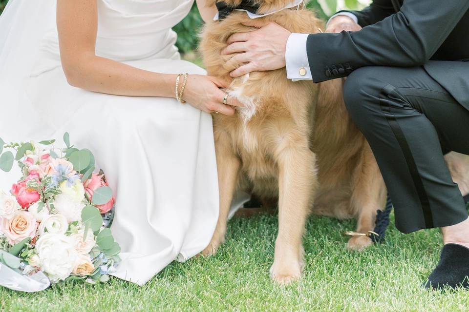 I Dog Too - Wedding Pet Attendant