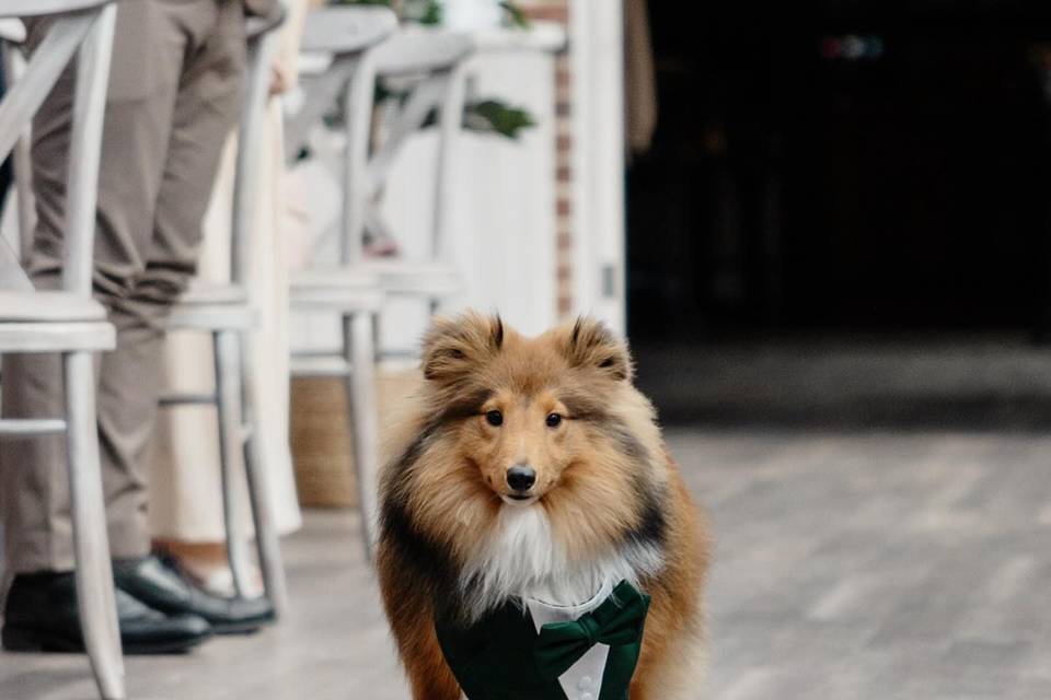 Looking very dapper