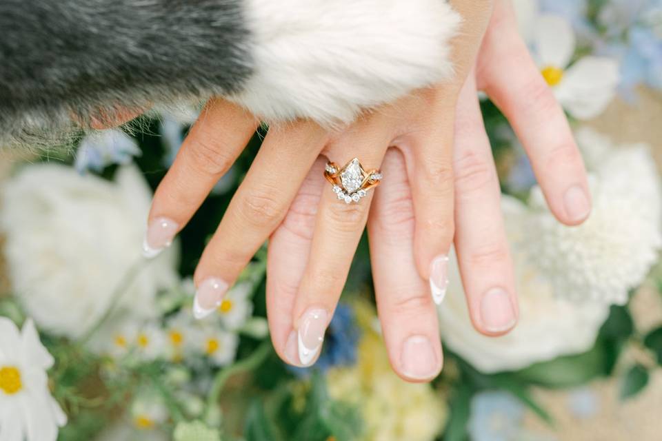 Paws in