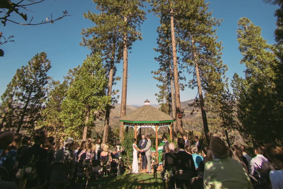 Big tree ceremony