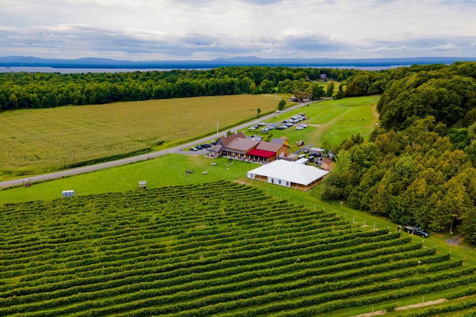 Snow Farm Vineyard