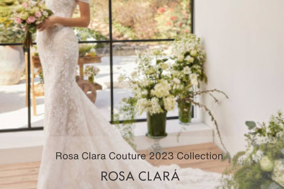 Rosa Clara TS 10/6-8