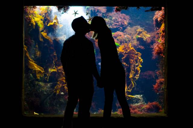 Stephanie Jean Photography