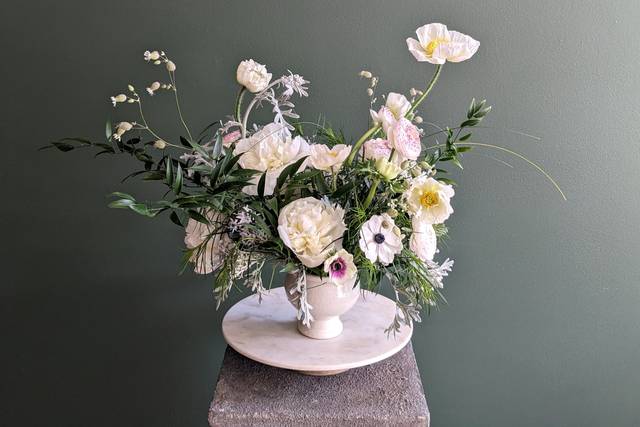 Airy Wild White Flowers