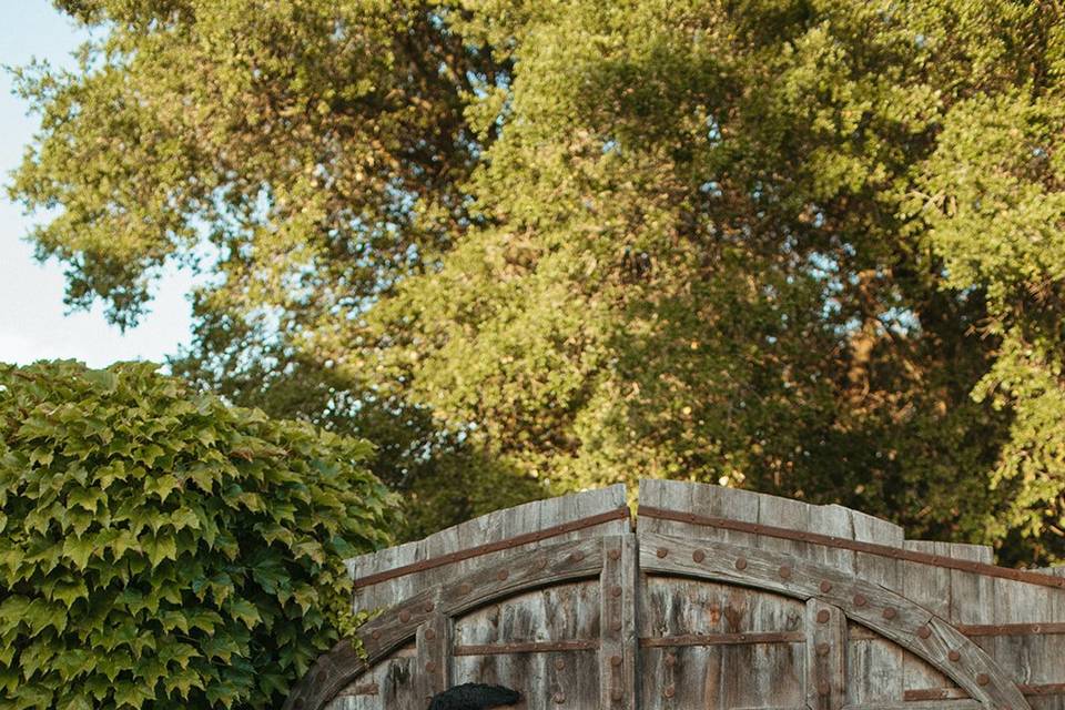 Bride & groom portrait