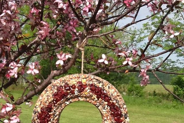 Bird Seed Wreath with Dried Cranberries