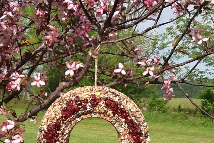 Bird Seed Wreath with Dried Cranberries