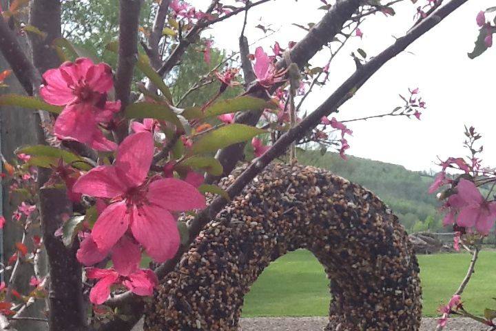 Bird Seed Wreath with Thistle Seed