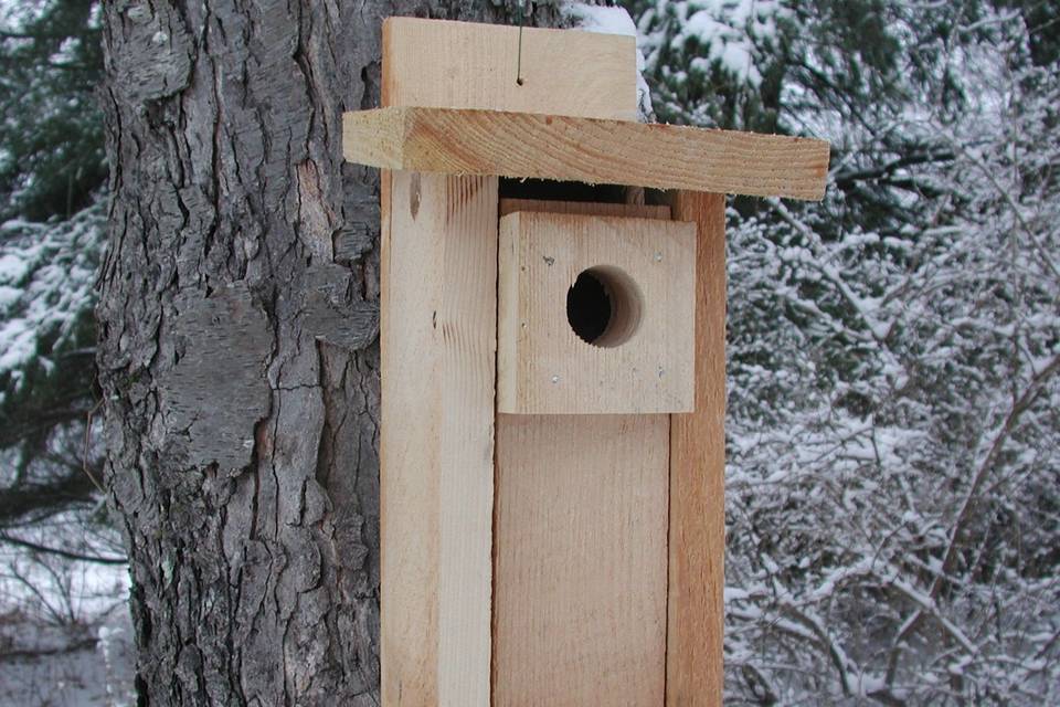 Handmade Bluebird    Houses