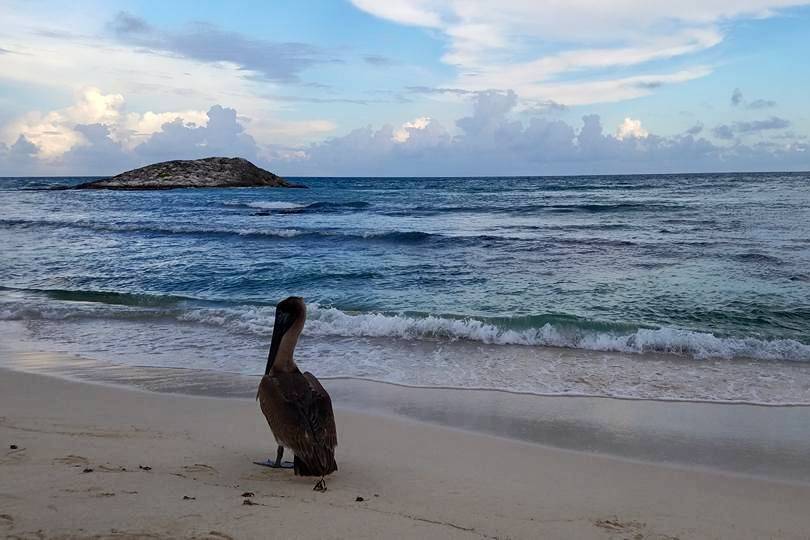 Fabulous Indeed Vacations