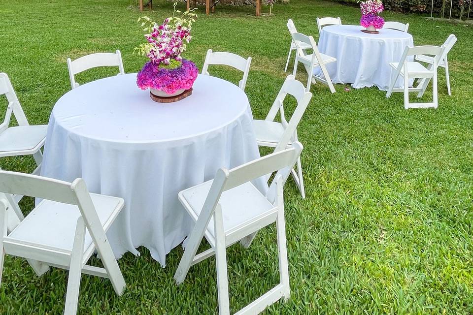 Coctel area