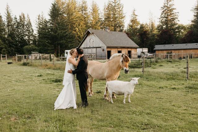 Arlene Chambers Photography