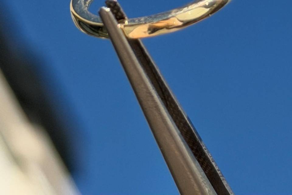 A.J. Klein Jewelers