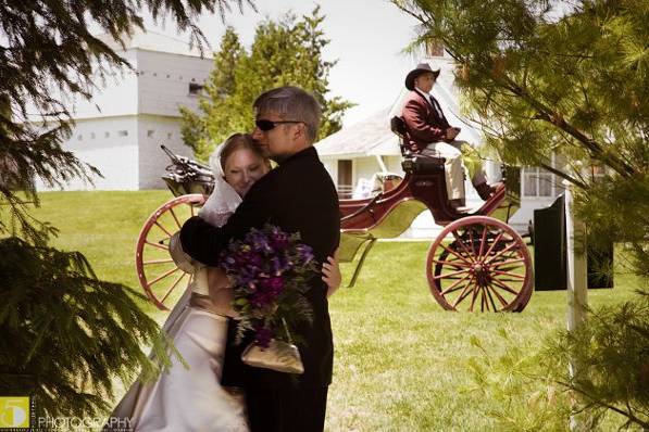 Destination Weddings of Michigan.....Michigan's Best Award-winning Wedding Officiant