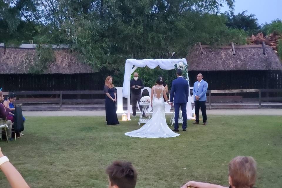 Wedding 3