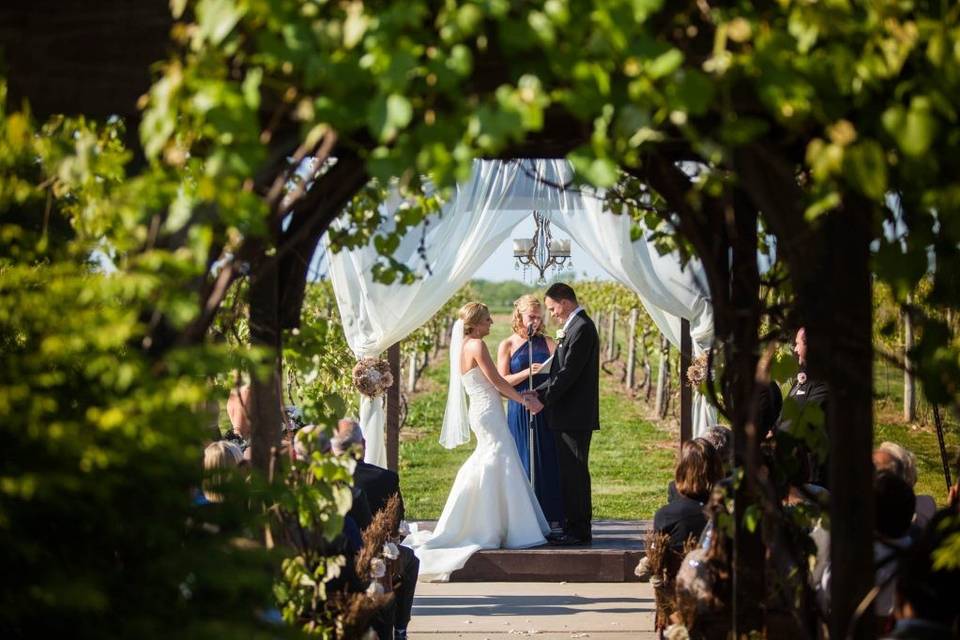 Couple through the vines