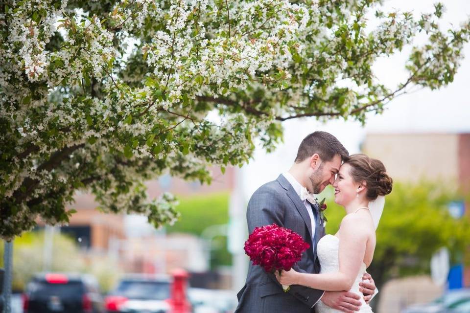 Cherry blossom kiss