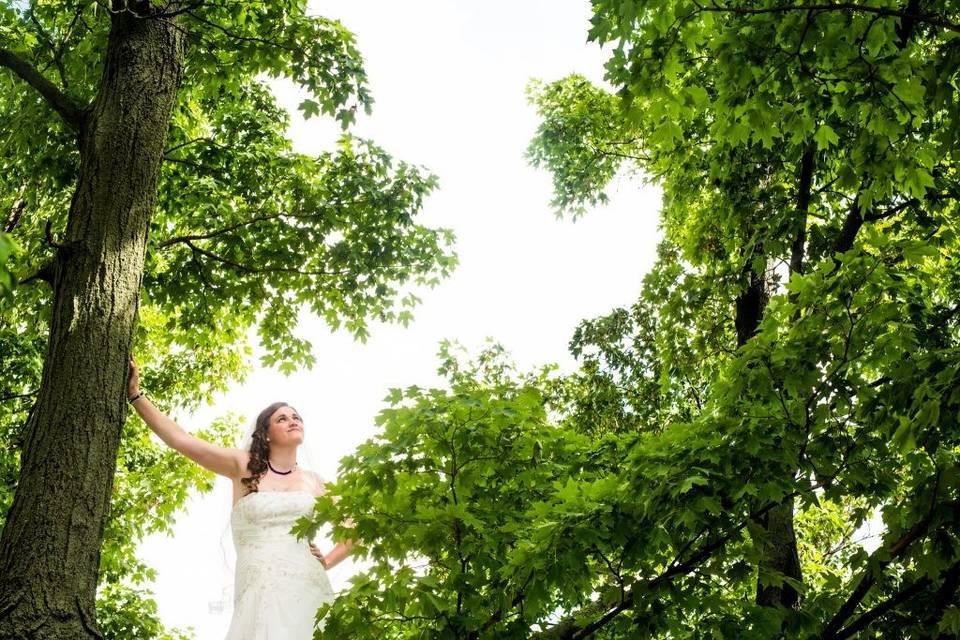 Bride in trees