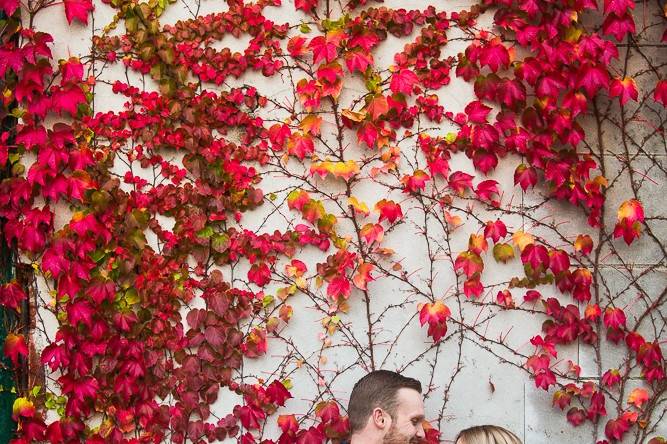 Couple with red vines