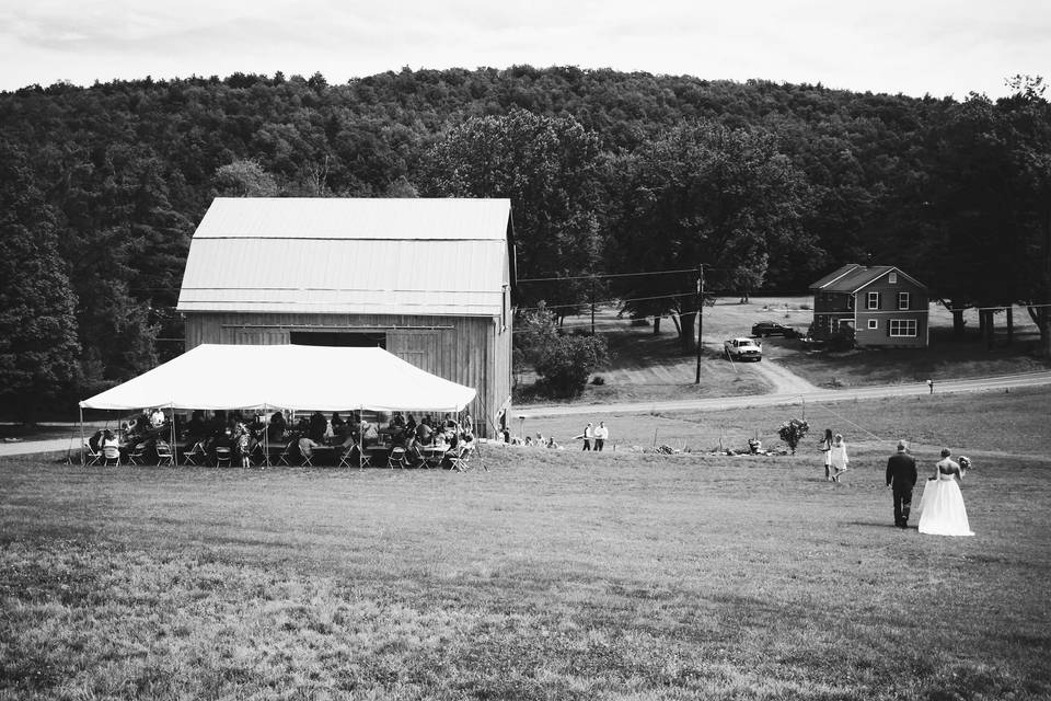 Homestead Blessings