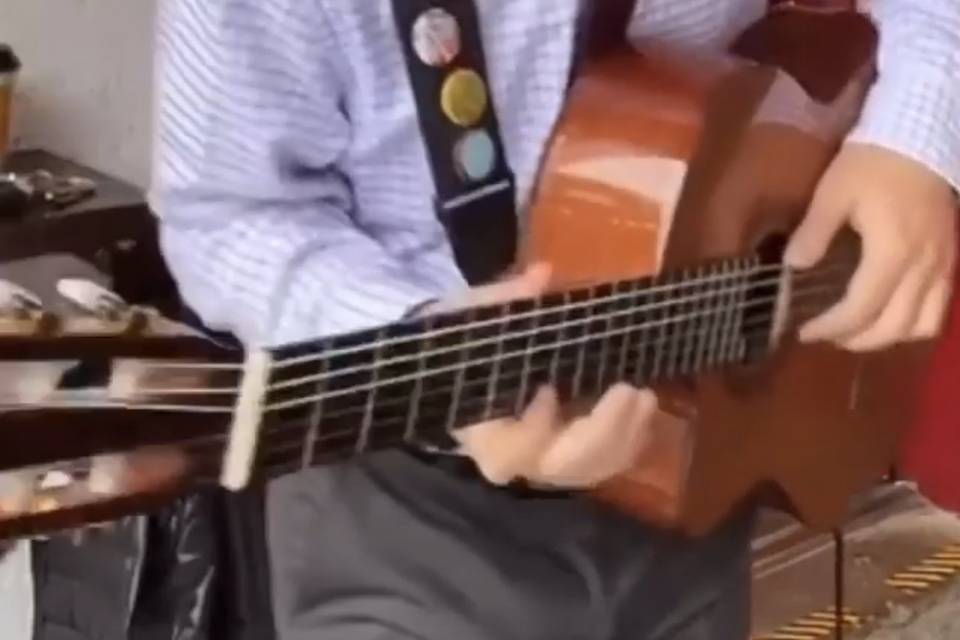 Sweet sounds of classical guitar
