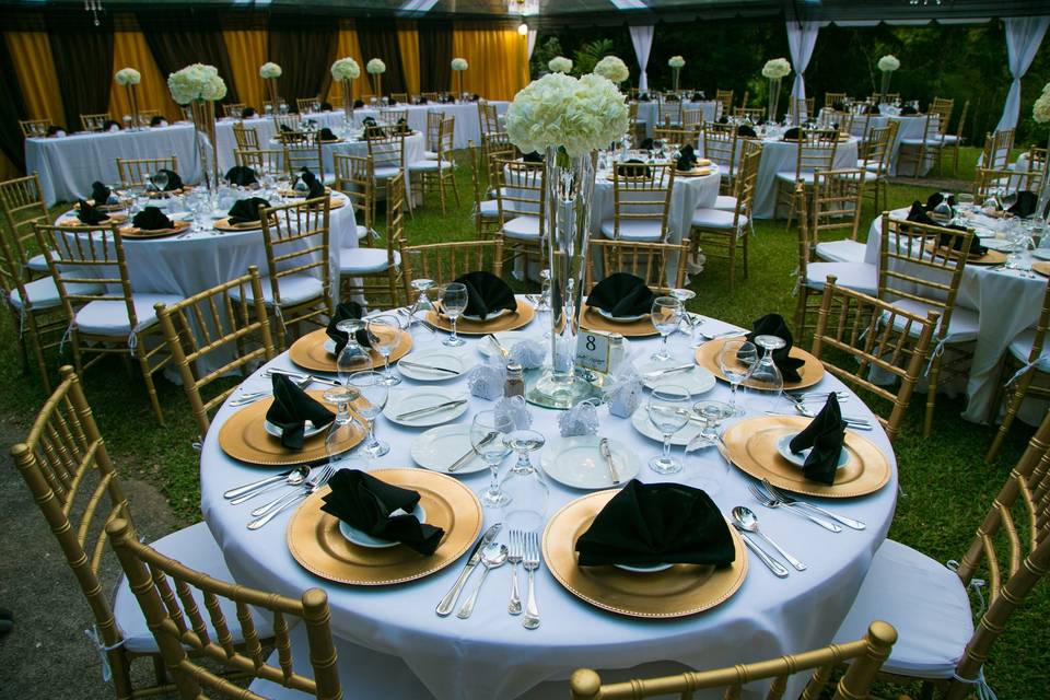 VantageOne Event Rentals