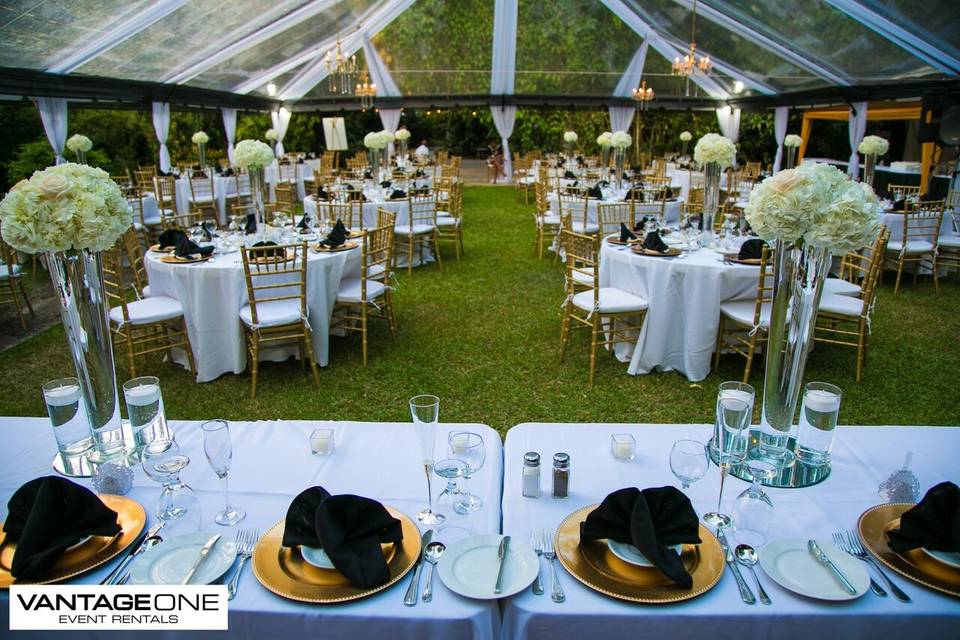 VantageOne Event Rentals