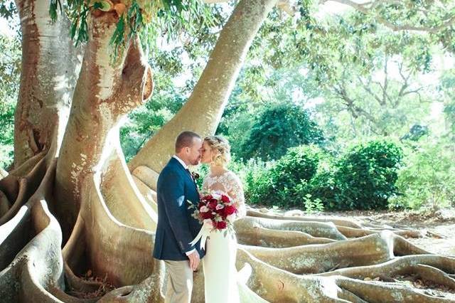 Couple beneath a tree